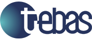 Tebas Logo 40 Anos